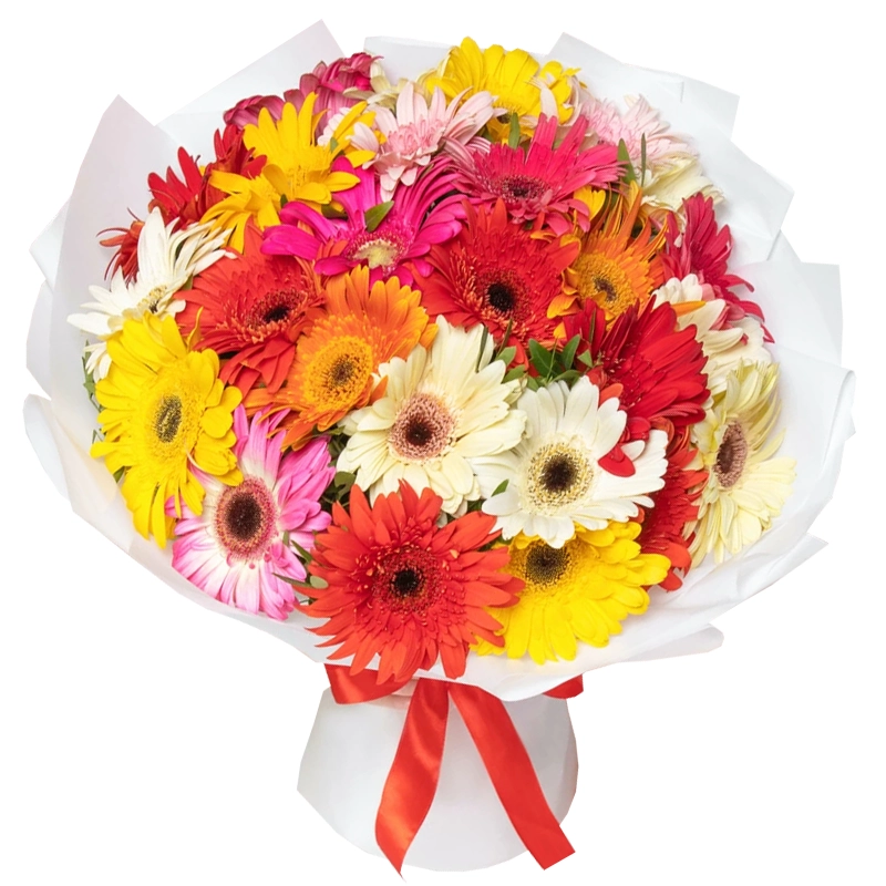 Букет из 25 разноцветных гербер