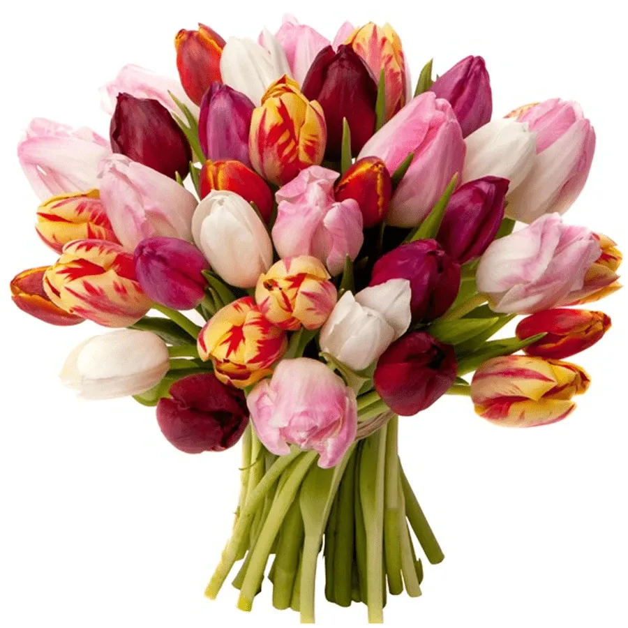 Тюльпаны микс №3